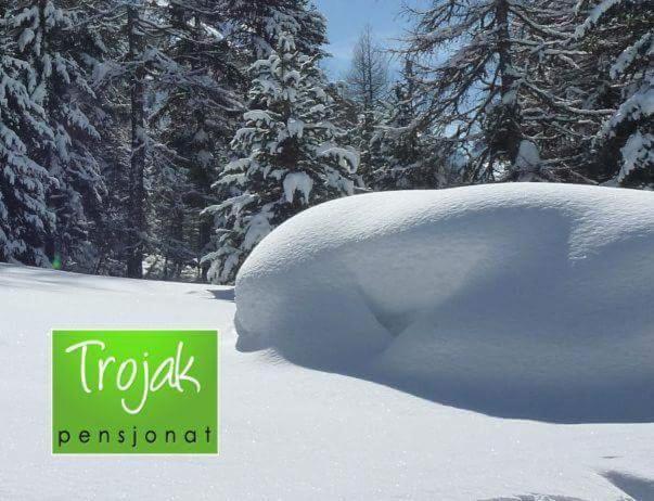 Pensjonat Trojak Lądek-Zdrój المظهر الخارجي الصورة